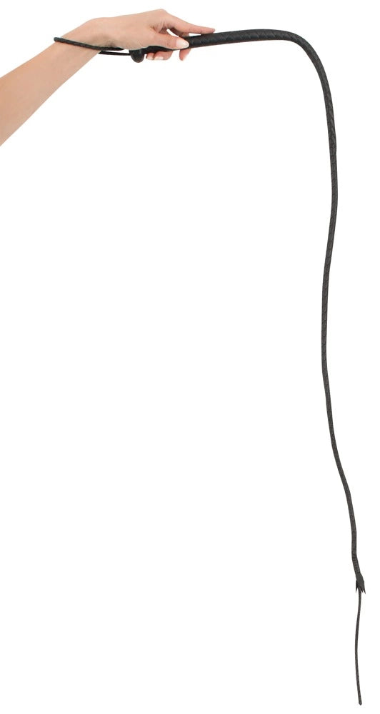 d2bb65c6f7b3cdf173d5fa4dbc9d3b23