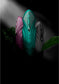 c0a73fd4146df1bf2286988d725e3423